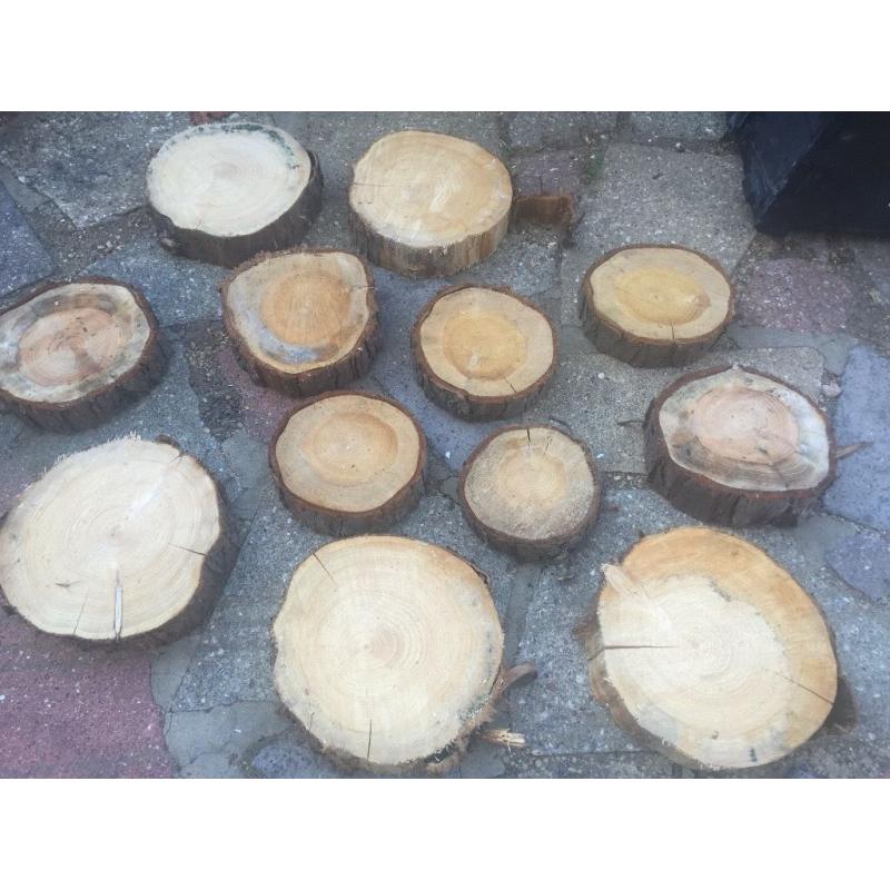 12 real log slices - 6-10 inches - perfect for a wedding decoration or project