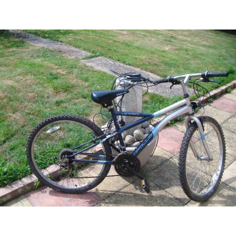 mountain bike