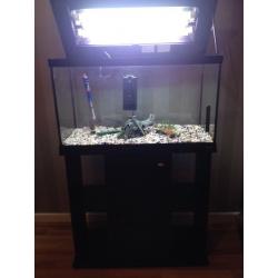 Fish tank with stand
