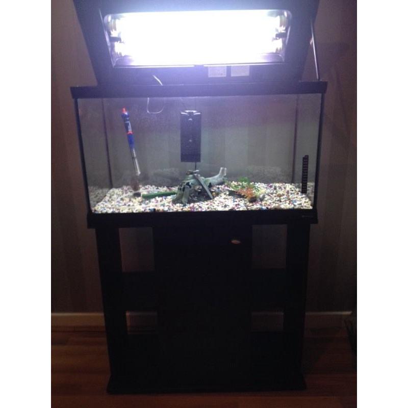 Fish tank with stand