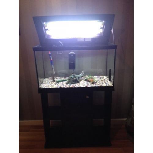 Fish tank with stand