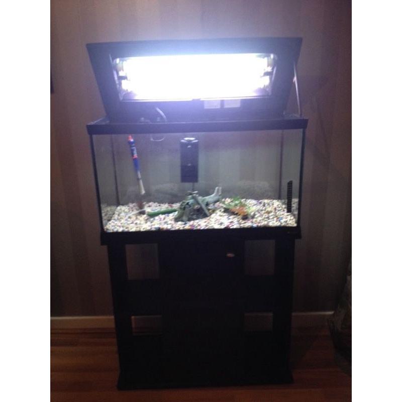 Fish tank with stand
