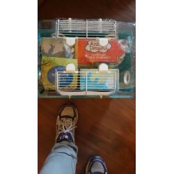 Hamster Cage & Accessories For Sale