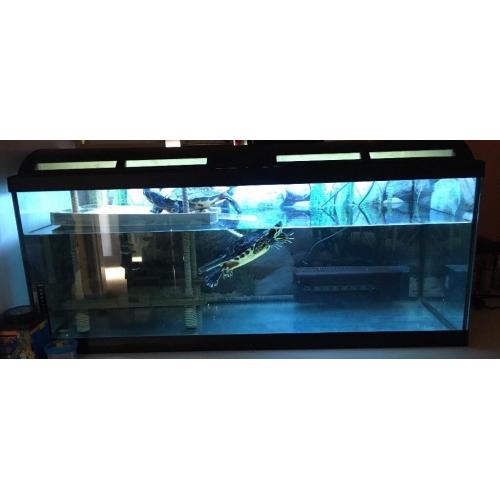160 litre aquarium