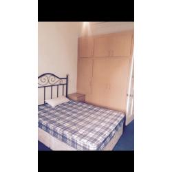 Rom to let in g41 2dn Wavrly garedan