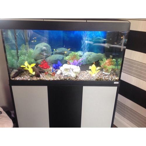 Fluval fish tank full set up!!!!!!! PRICE DROPPED