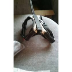 Leopard print dog harness10 ono