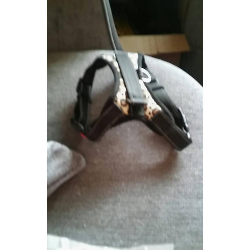 Leopard print dog harness10 ono
