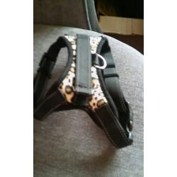 Leopard print dog harness10 ono