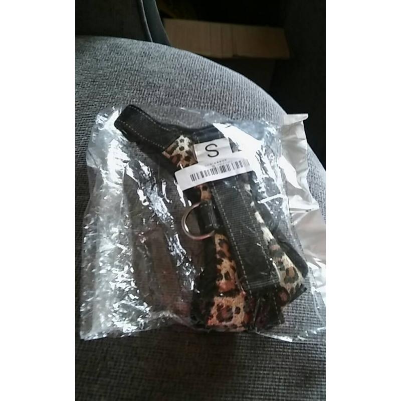 Leopard print dog harness10 ono