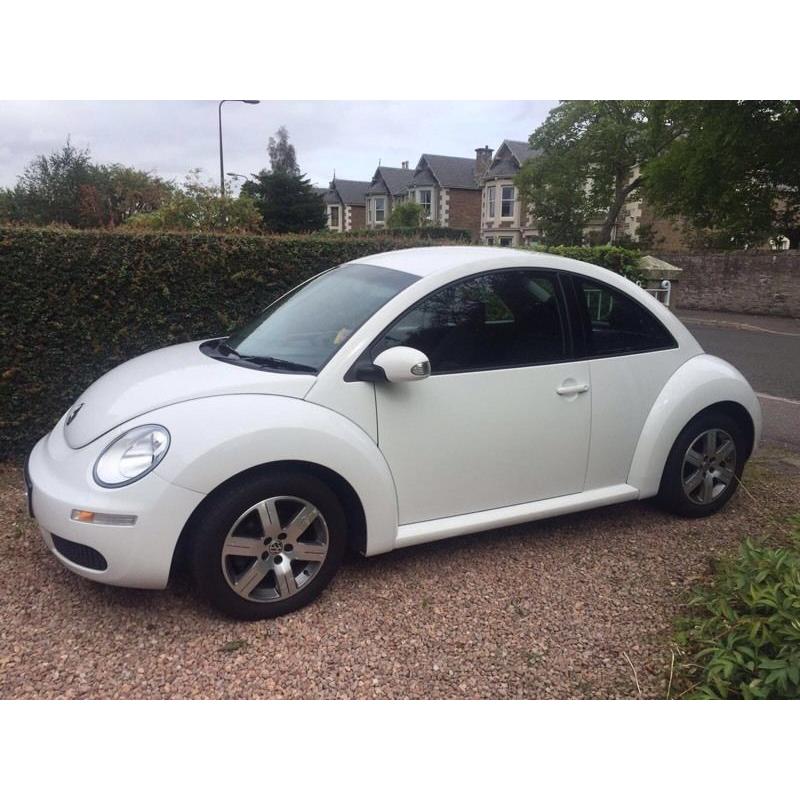 VW White Beetle