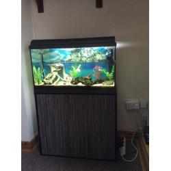 Fish tank