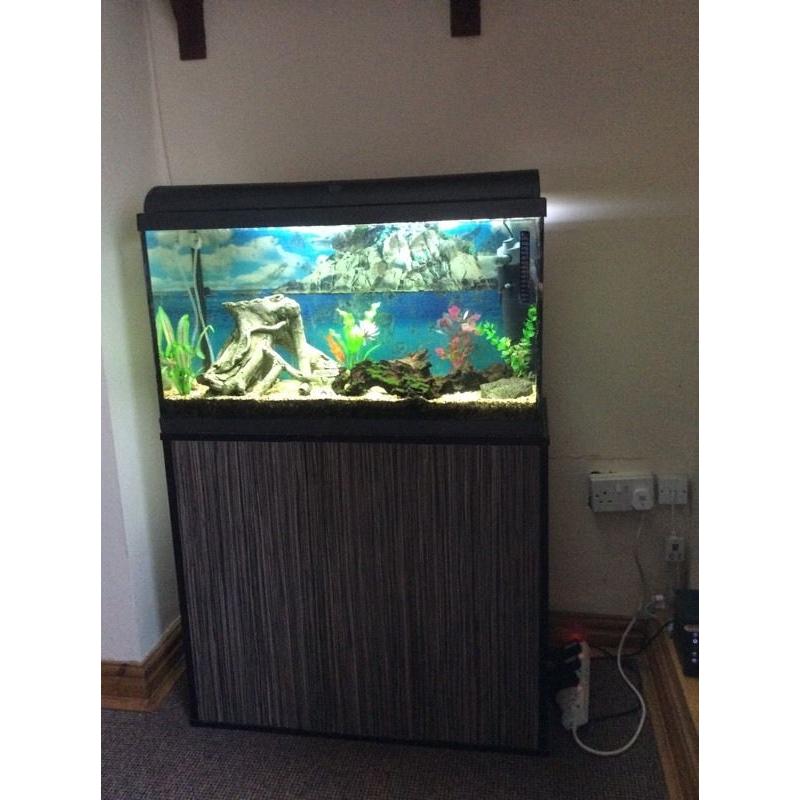 Fish tank