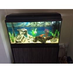 Fish tank