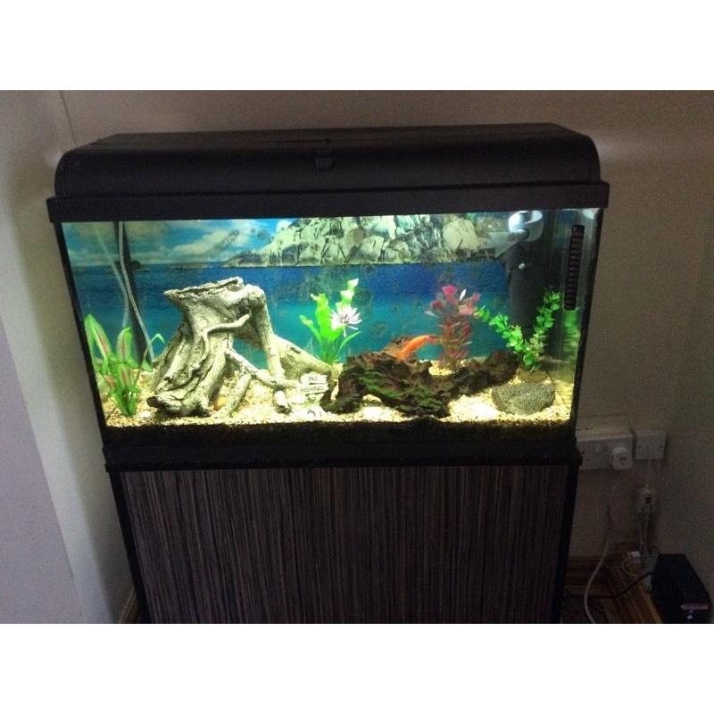 Fish tank