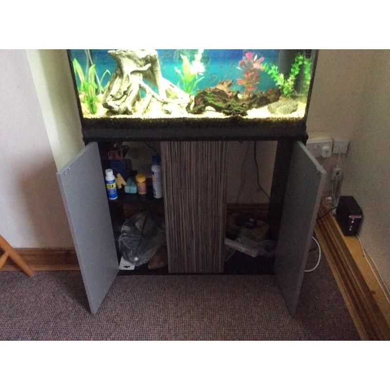 Fish tank