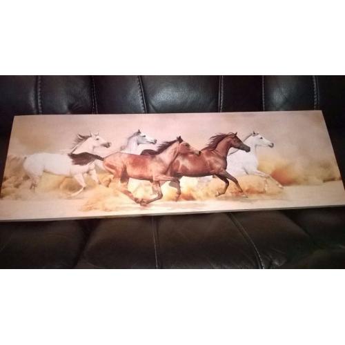 *** Picture of beautiful horses***