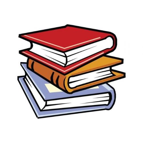 Experienced Tutor for English Language / Literature