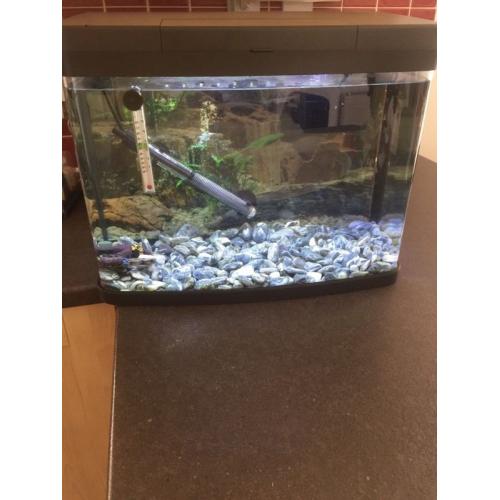50l fish tank