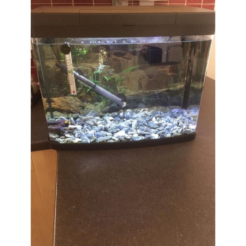 50l fish tank