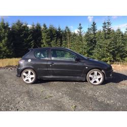 Peugeot 206 Gti 180