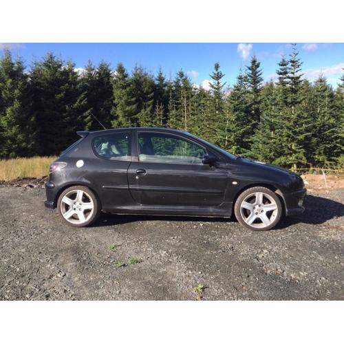 Peugeot 206 Gti 180