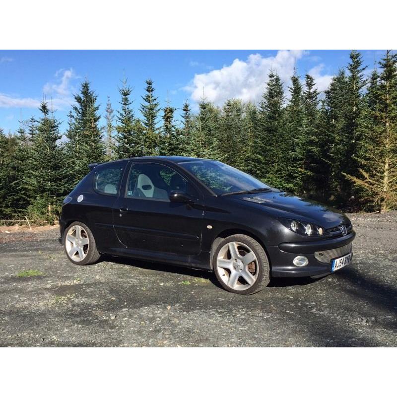 Peugeot 206 Gti 180