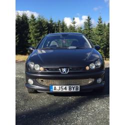 Peugeot 206 Gti 180