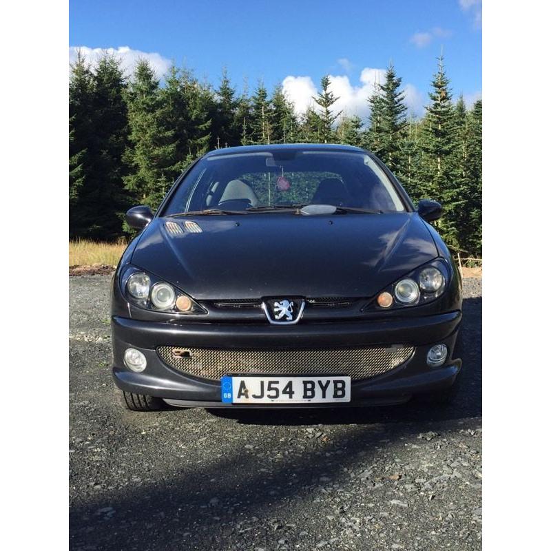 Peugeot 206 Gti 180