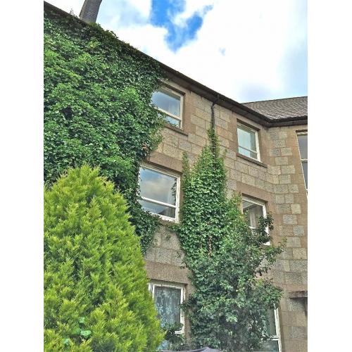 DOUBLE ROOM IN LARGE TOP FLOOR FLAT IN OLD ABERDEEN NEXT TO UNIVERSITY