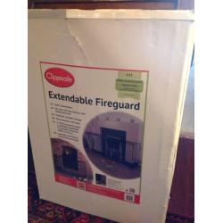 Extendable fireguard