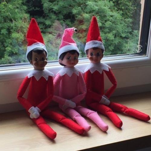Elf on the Shelf - Christmas must have! Now in stock and selling fast - various colours available