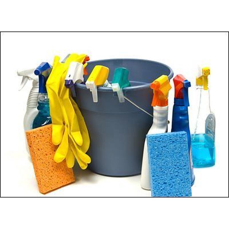 Private home cleaner