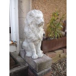 Large lion