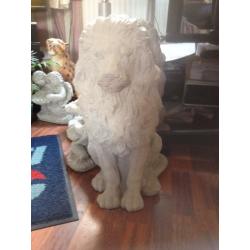 Large lion