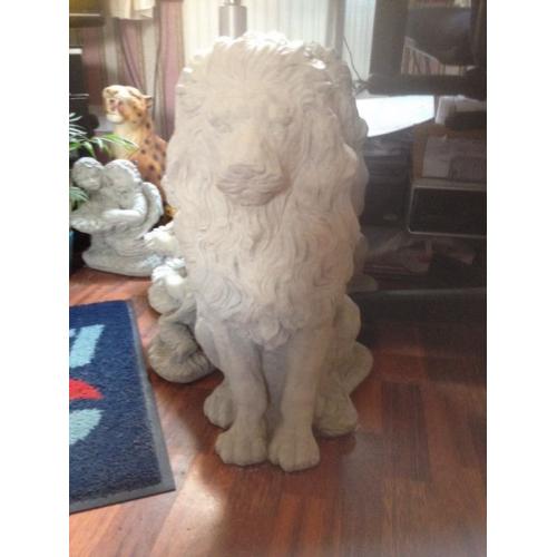 Large lion