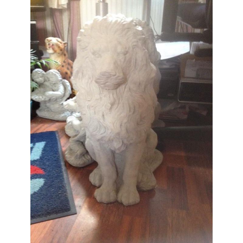 Large lion