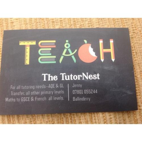 Transfer test practice sessions available with experienced tutor