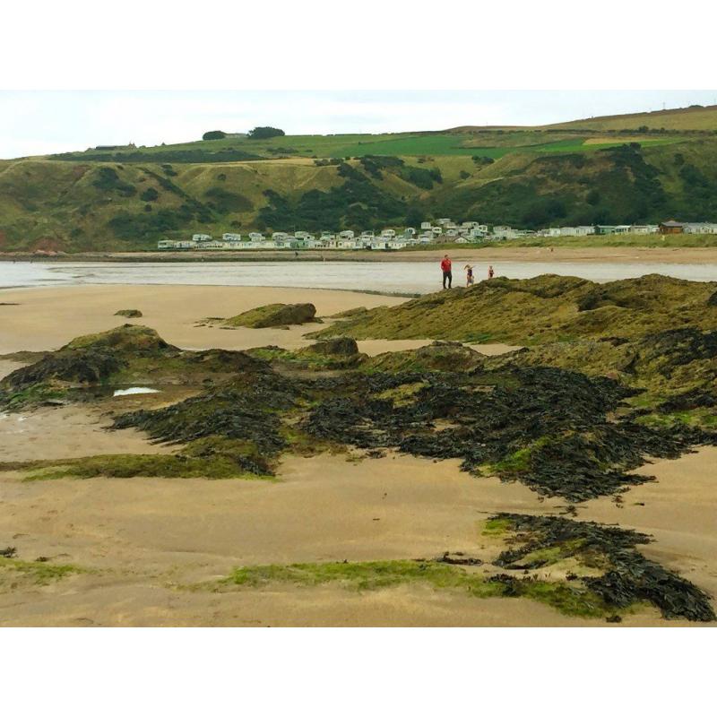 Large spacious static caravan for sale at Pease Bay in Berwickshire on the beach. Free site fees.