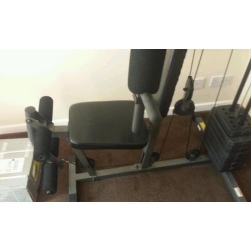 Pro power multi gym, extra weights
