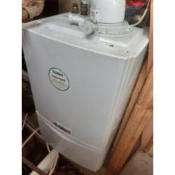 boiler for sale bargain