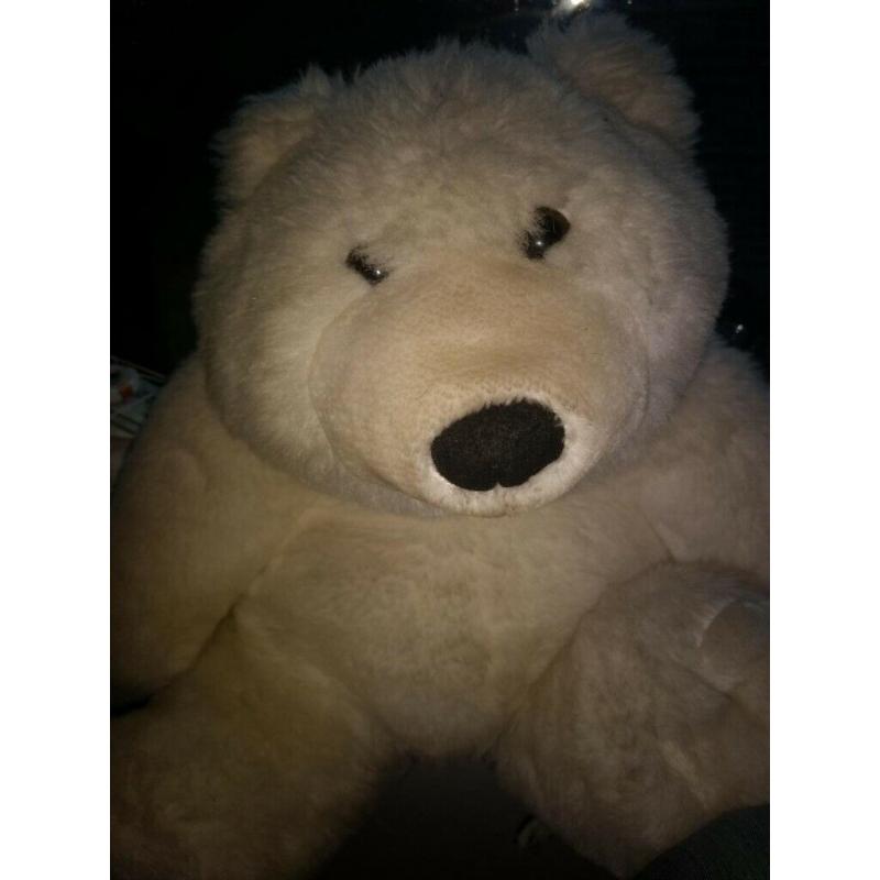 polar bear