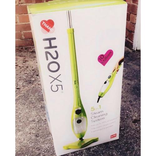 Steam Cleaner (Vacuum)