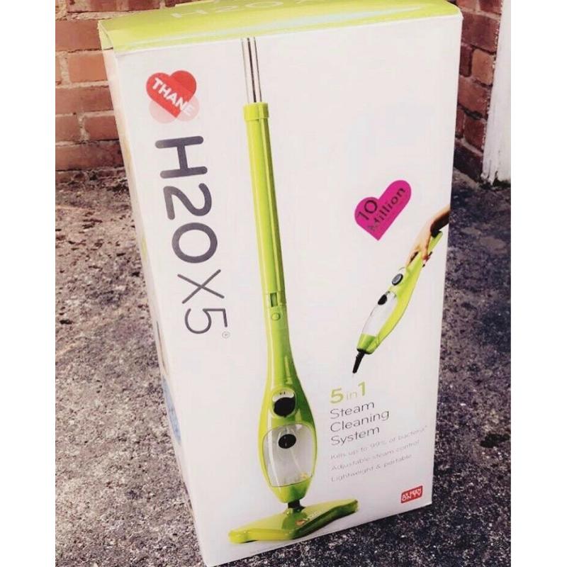 Steam Cleaner (Vacuum)