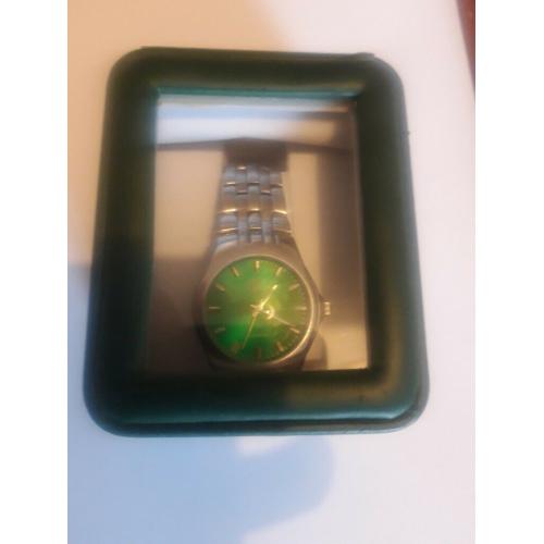 Hibernian crested watch