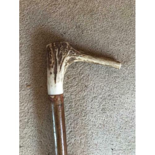 Wooden Walking Stick 3
