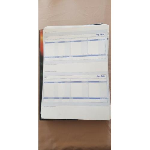 Blank Printer Payslips