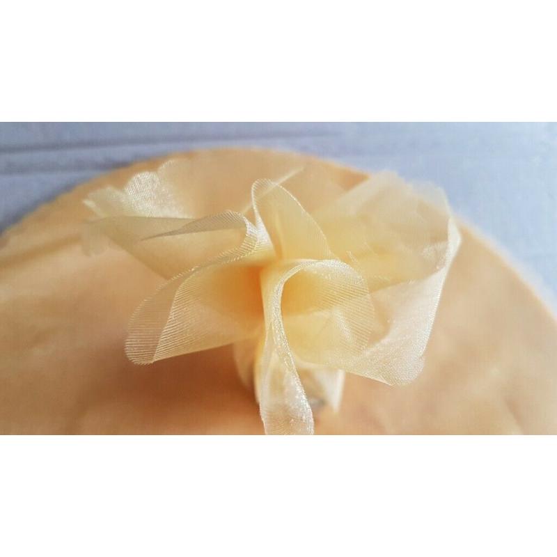 25 Yellowy Gold Trim Tulle Organza Nets for Weddings/Christening